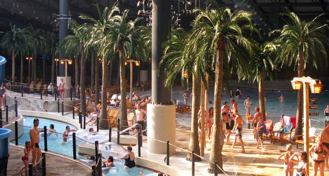 Palmtrees at Lalandia Waterpark in Billund, Denmark
